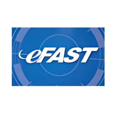 efast logo